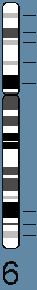 chr6